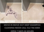 DEEP CLEANING PAINTING JUNK CARPET REMOVAL POWER WASH CARPET SHAMPOO