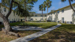 Scenic view of the outdoor common area with picnic tables at The Drake apartments in St. Petersburg, FL.
