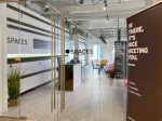 Team Space Offices For Your Business, Get Your Creativity Flowing!