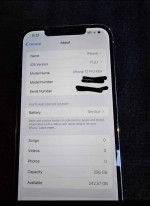 Apple Iphone 12 Pro Max 256 GB