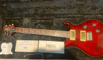 PRS 25th Anniversary Custom 24 10-Top