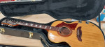 Arnold Hoyer Acoustic Electric12 String