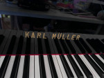 Korean piano