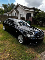 2016 BMW 5 Series in black parked on grass, showcasing its elegance and excellent condition.