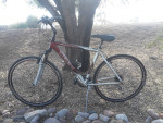 TREK 7500 multitrack hybrid mans bicycle - excellent condition