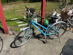 4 bikes for sale (CCM, MARIN,)