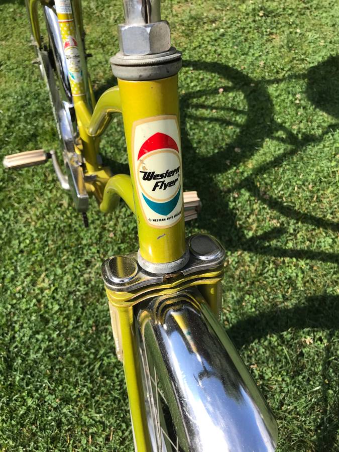 Western flyer buzz bike-All original adult size/tall child bicycle