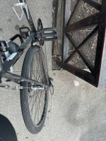 Surly Packrat