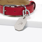 LOUXOR PET COLLAR L