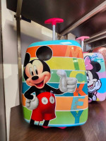 Kids designers school or traveling bags..