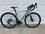 2021 Trek  Checkpoint SL 5