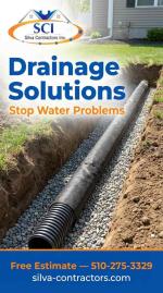 Hardscpe and Landscape