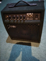 Johnson RepTone 15W Guitar Amp