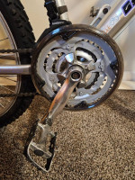 Iron Horse Girl's 24 inch Mountain Bike