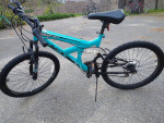 Cheap Mountain Bike
