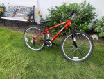 RUST-RALEIGH MOJAVE - Mens  Reconditioned High Quality MOUNTAIN BIKE