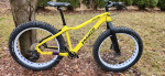 Fat bike Framed wolftrack Carbon