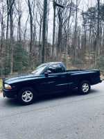 1997 Dodge Dakota in green color parked in a wooded area, showcasing its classic pickup design and low mileage.