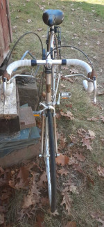 Lotus Challenger SX bicycle