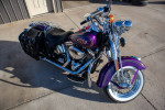 2000 Harley Davidson FLSTS - Super Low Miles - Like New