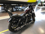 2021 Harley-Davidson Sportster XL1200X - Forty-Eight SKU:UM41190