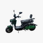 Armada Recon Electric NO TAX (no license needed)