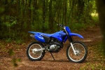 2023 Yamaha TTR 230