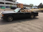 1981 Rolls-Royce Corniche custom convertible in Embassy Black with beige leather interior, parked outdoors.