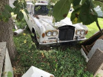 Classic 1972 Rolls-Royce Silver Shadow limousine with dual moon roofs, in overgrown setting.