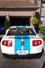Rear view of a white Shelby GT500 with blue stripes parked in a driveway, showcasing its sporty design.
