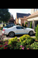 White Shelby GT500 parked in a driveway with colorful flowers and greenery surrounding it.