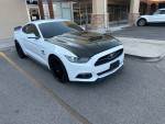 2015 Mustang GT 50th anniversary with carbon fiber hood and aftermarket wheels, parked outside.