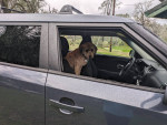 2014 Kia Soul 104,000 mi