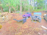 Two 1978 and 1979 Jeep CJ7s in need of repair, parked in a forested area with a tow bar and winch.