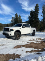 2014 Ford F-150 FX4 4WD in snowy terrain, showcasing exterior features and off-road capabilities.