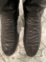 Justin Ropers Full Quill Ostrich