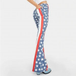 FREE PEOPLE STARS n STRIPES FLARE JEANS Sz 25