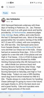 BORDER COLLIE TRAINING