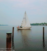 Camper Nicholson 31 Sailboat