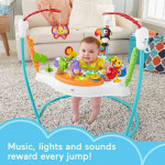 Fisher-Price Baby Bouncer Animal Activity Jumperoo With Music Lights S