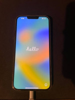 iPhone 13 Pro Max 256 GB gold version unlocked